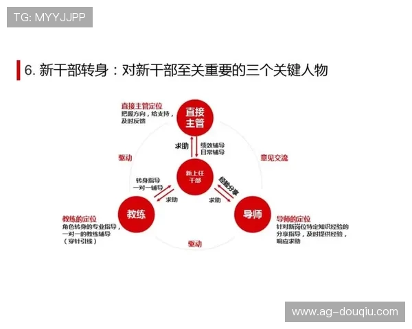 斗球电脑版比赛模式详解不同模式玩法规则全方位解析 斗球电脑版比赛模式详解不同模式玩法规则全方位解析