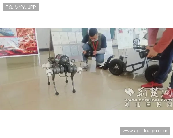 斗球直播app下载安装步骤详解，轻松开启足球直播新体验