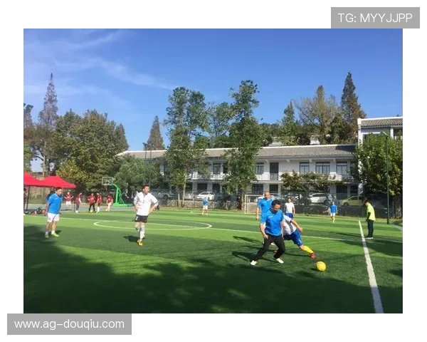 斗球vip官网入口官方最新地址2024年最全更新版本推荐给热爱竞技的玩家