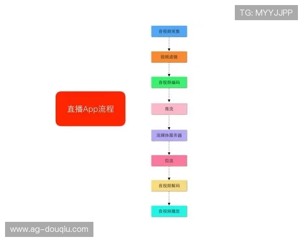 斗球直播有料版用户指南，详细解析注册登录、观看比赛、评论互动等实用操作流程